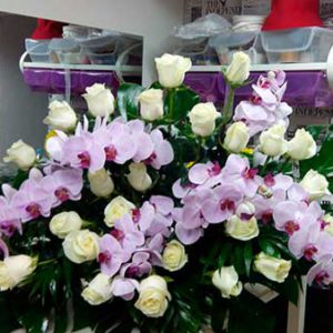 Jardinera de orquídeas C003